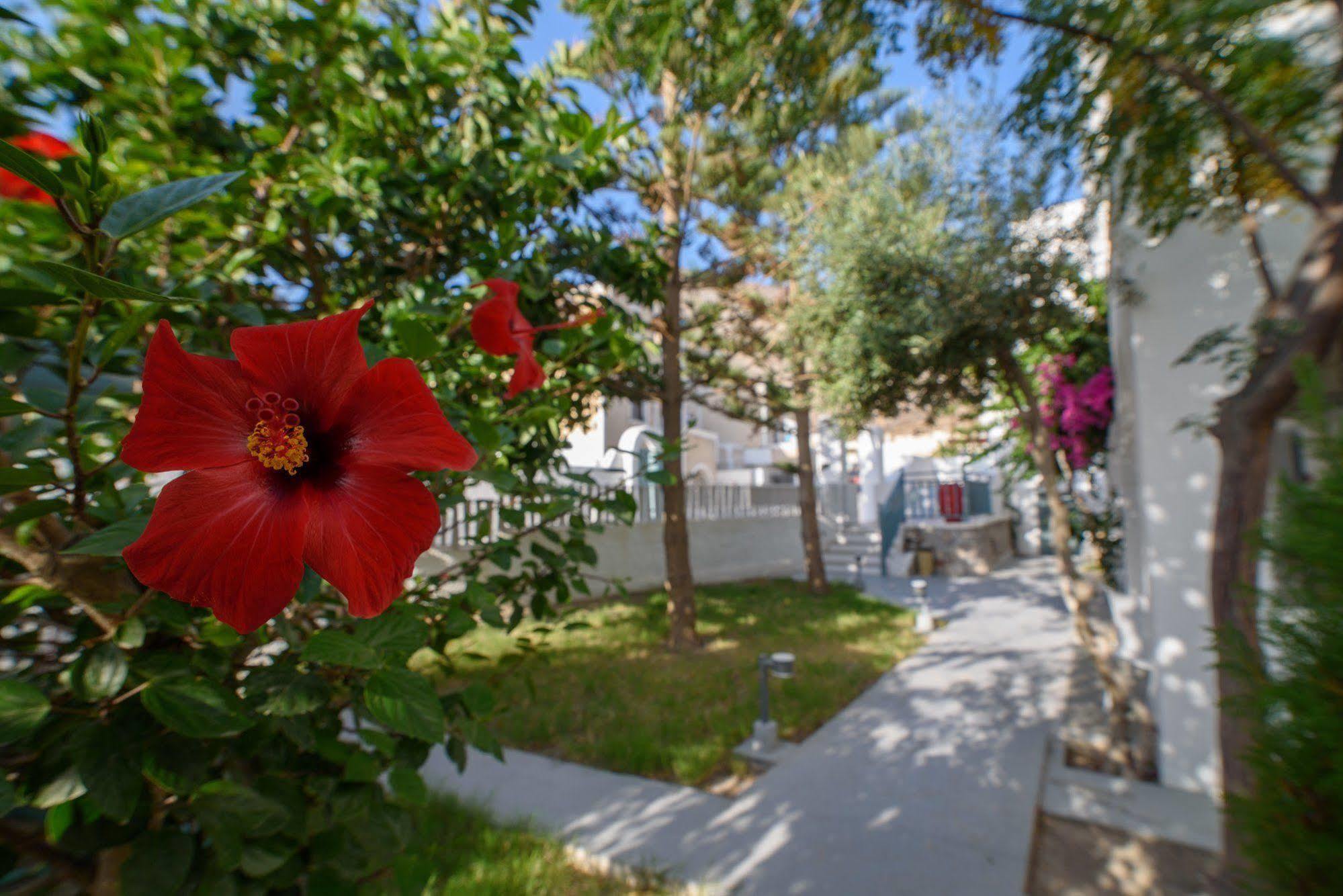 Iris Boutique Hotel Kamári Exterior foto